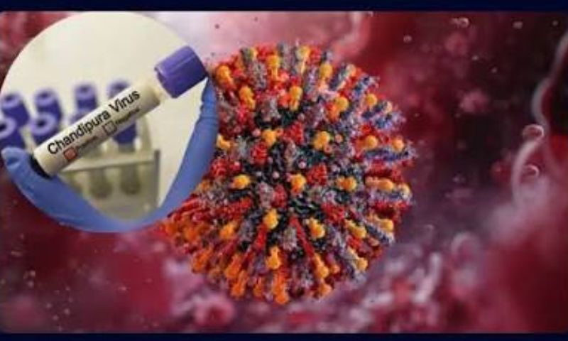 Chandipura virus outbreak Gujarat symptoms and prevention | NovaKhabar