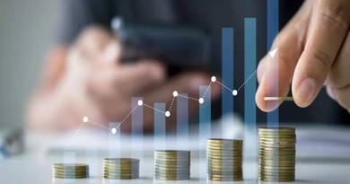 Vanguard India portfolio stocks CY26 sector spread across banking IT and pharma |