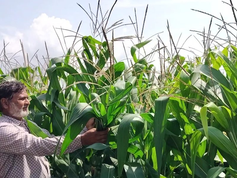 PM Kisan e-KYC कैसे करें स्टेप बाय स्टेप | NovaKhabar